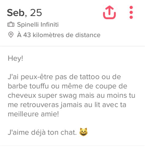 meilleure description tinder|Description Tinder : nos exemples de bio qui marchent